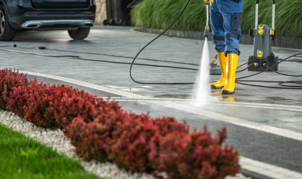 Best Rust Removal  in Fremont, MI